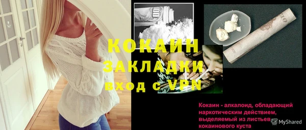 гидра Инта