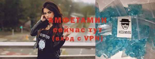 гидра Инта