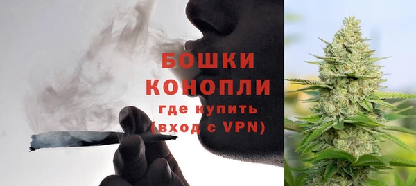 ALPHA PVP Инсар
