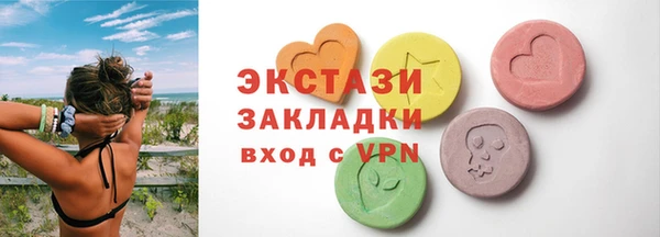 гидра Инта