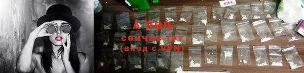 ALPHA PVP Инсар