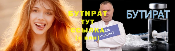 гидра Инта