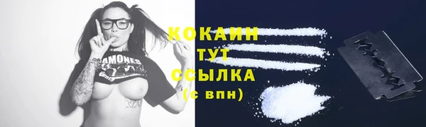 ALPHA PVP Инсар