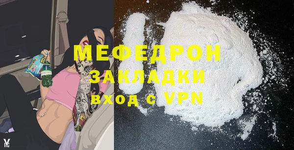 гидра Инта