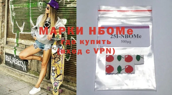 гидра Инта