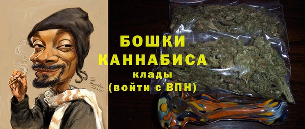 гидра Инта