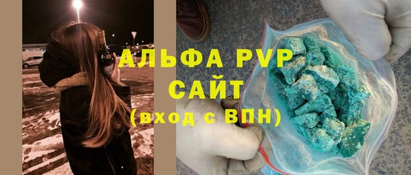 гидра Инта