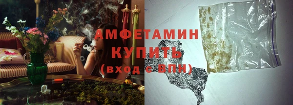 гидра Инта