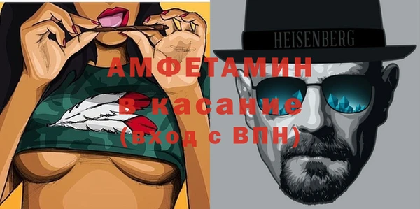 гидра Инта